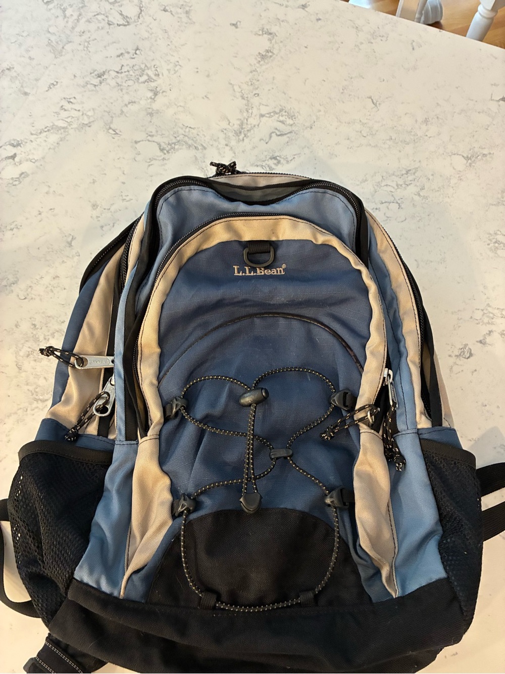 L.L. Bean Blue Large Daypack 🎒